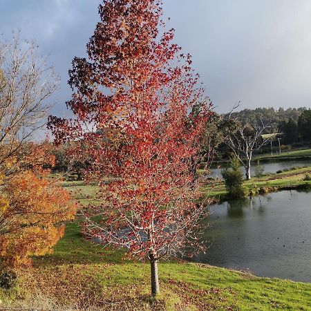 Woodlands Of Balingup Bush Cottages Dış mekan fotoğraf