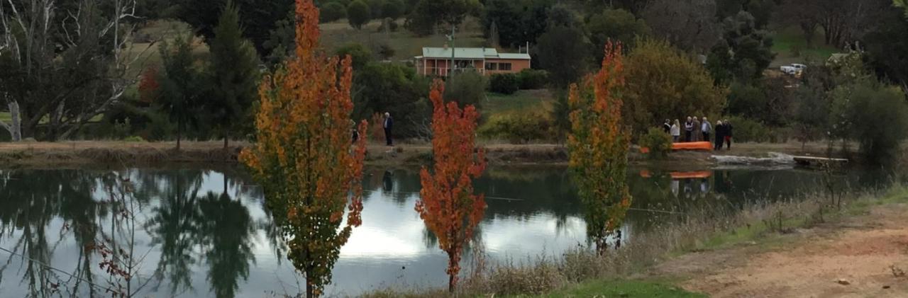Woodlands Of Balingup Bush Cottages Dış mekan fotoğraf